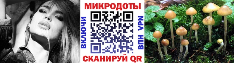 маркетплейс какой сайт  Андреаполь  Псилоцибиновые грибы Cubensis  blacksprut  